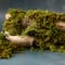Preserved Forest Moss by Ashland®